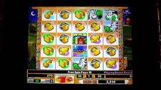 Bonus Round: Moolah (IGT)