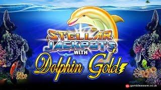 Slots Free Stellar Jackpots with Dolphin Gold from TopSlotSite