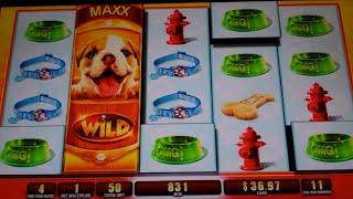 OMG! Puppies Slot Machine Bonus - 15 Free Games Win with 3x Multiplier + Scatter Pays (#1)