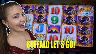 Buffalo Gold Collection Slot Madness at Wynn Las Vegas!