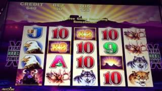 BIG WIN!! Aristocrat Buffalo 2 Cent Slot Machine Bonus 3 WILDS!
