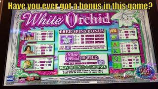 ⋆ Slots ⋆HAVE YOU EVER GOT A BONUS ON THIS GAME ?⋆ Slots ⋆50 FRIDAY 167⋆ Slots ⋆WHITE ORCHID/ZORRO/NOUVEAU BEAUTIES Slot⋆ Slots ⋆栗