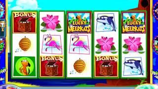 LUCKY MEERKATS Video Slot Casino Game with a "BIG WIN" LUCKY MEERKATS FREE SPIN BONUS