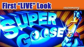 Super Goose Slot - BIG WIN! - First 