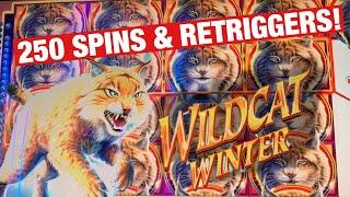 CAN MORE FREE SPINS PAY OFF? • WMS WILDCAT WINTER  • LIVE CASINO PLAY