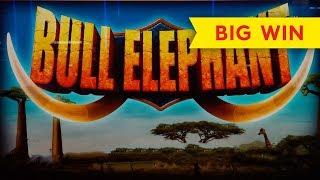 Bull Elephant Slot - UP TO $9 MAX BETS!