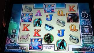 Reel 'Em In! Greatest Catch Slot Machine Bonus-Romanacing The Progressives!