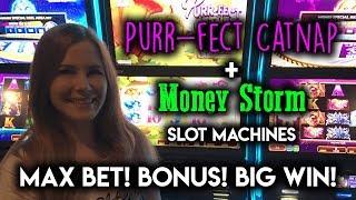 BIG HIT on Purrfect Cat Nap Slot Machine! Money Storm BONUSES!