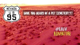 Have you heard of the ABANDONED PET CEMETERY??