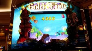 Goldfish Slot Bonus