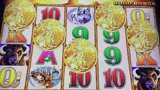 Buffalo Gold 5 Coins Bonus