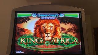 Live! Slots 4 Charity! King of Africa Slot Machine