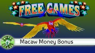 Macaw Money slot machine bonus