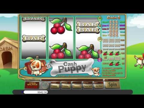 Free Cash Puppy slot machine by Saucify gameplay ★ SlotsUp