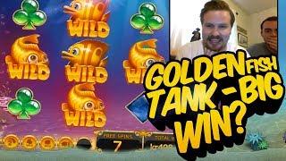 Golden fish tank - My first 4 scatter bonus