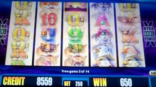Buffalo Deluxe, Free Spins, NICE WIN