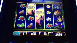 RUN WITH THE PACK Slot Machine ~ Free Spin BONUS! • DJ BIZICK'S SLOT CHANNEL