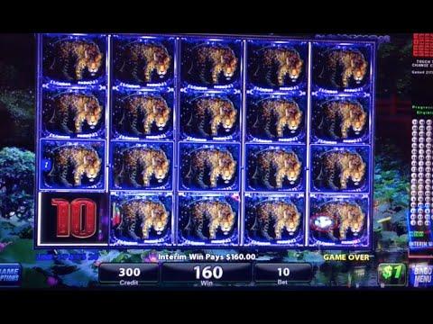 shadow of the panther $10 bet line hit ** SLOT LOVER **