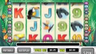 Birds Of Paradise Slot Machine At Intertops Casino