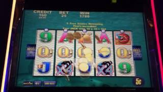 WHALES of CASH ~ Slot Machine bonus ~ BIG WIN!