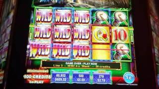 King Cat Little Max Bet live play