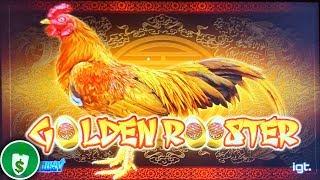Golden Rooster WA VLT slot machine, bonus