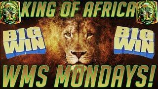• WMS Mondays BACK TO BACK MAJORS PROGRESSIVE! • King Of Africa BIG BONUSES S1E7
