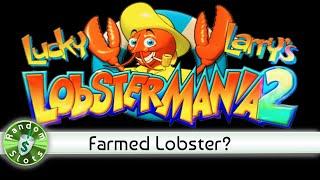 Lobstermania 2 slot machine, Nice Win, Farmed Lobster Trivia