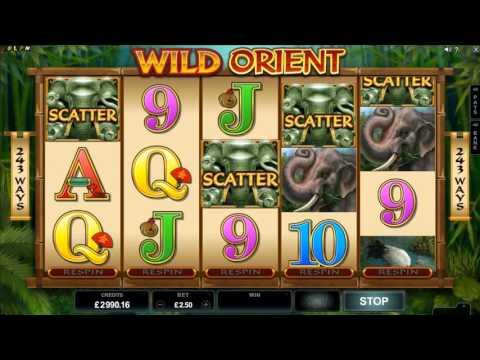 Wild Orient Game Promo Video