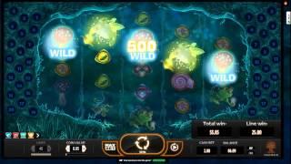 Magic Mushrooms Slot Machine Game