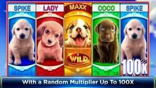 5x4 Reels OMG! PUPPIES™ Slot Machines By WMS Gaming
