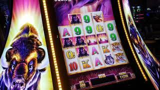 Mof Vs Buffalo Hard n Fast