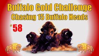 Buffalo Gold Challenge - Chasing 15 Buffalo Heads #58