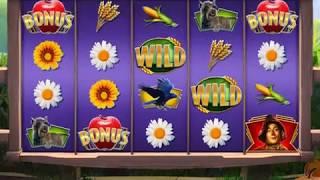 WIZARD OF OZ: OH JOY, RAPTURE Video Slot Game with an "EPIC WIN" RETRIGGERED FREE SPIN BONUS