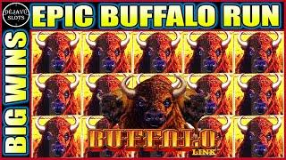 WOW EPIC BUFFALO RUN! BONUS IN THE BONUS BUFFALO LINK SLOT MACHINE