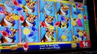 slot bonus electrifying riches 450 spins on 1.50 bet