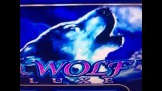 Slot Big Win [Fortune King Deluxe] & [Timber Wolf Deluxe] [アカフジ] [スロット] [カルフォルニア] [カジノ] Aristocrat