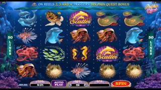 Dolphin Quest Online Slot Game Promo