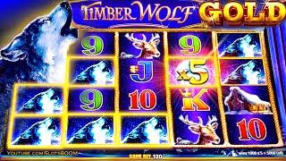 TIMBER WOLF GOLD !!! WONDER 4 BOOST - BIG BONUS!!! 4x SCREENS - Slot Machine in CASINO