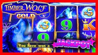 #JACKPOT AT COSMO! ⋆ Slots ⋆ $15 BET LANDS A 5 BONUS TRIGGER & 15x MULTIPLIER ON TIMBERWOLF GOLD #la