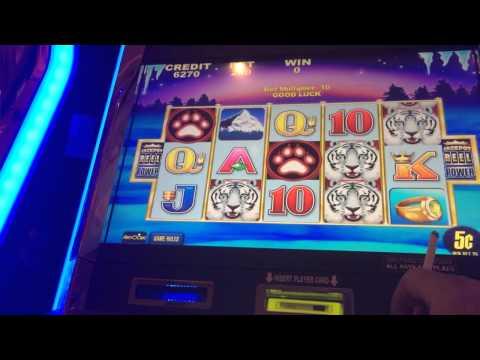 White tiger LIVE PLAY w/bonus high limit slots