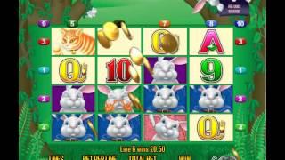 Aristocrat Bunnys Rabbits Video Slot Big Win Free Spins