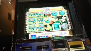 Jungle Wild 5c slot bonus - BIG WIN!