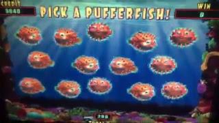 A LOAD OF • BONUS on LUCKY LION FISH Slot Machine - Pick a PUFFERFISH •