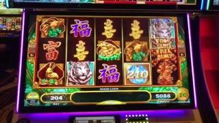 • LIVE at the Casino! Slot Machine Wins!