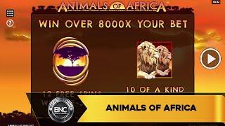 Animals of Africa slot by Gold Coin Studios