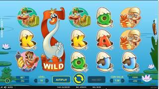 Scruffy Duck Slot - BIG WIN - Game Play - by NetEnt