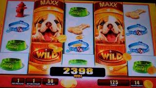 OMG! Puppies Slot Machine Bonus - 15 Free Games with 3x Multiplier - Nice Win (#2)