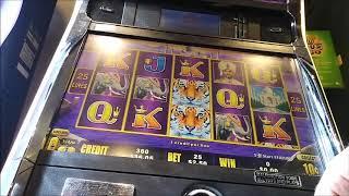 bengal treasure live play  $1.25 $2.50 $3.75 bets rat machine