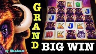 BUFFALO GRAND slot machine BONUS and BIG WIN LINE HIT